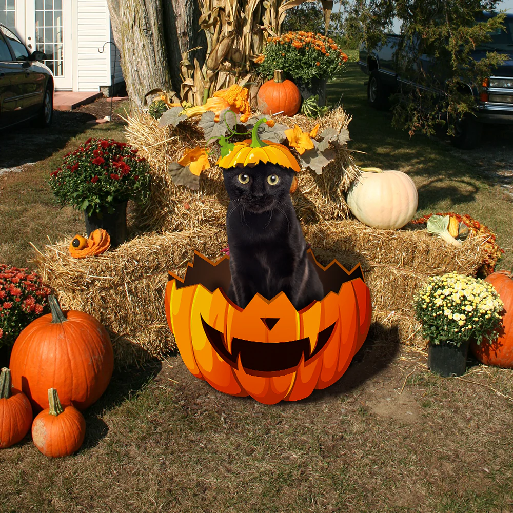 Black Cat Halloween Metal Sign Black Cat In Pumpkin Garden Sign Decoration QNK11MSv2