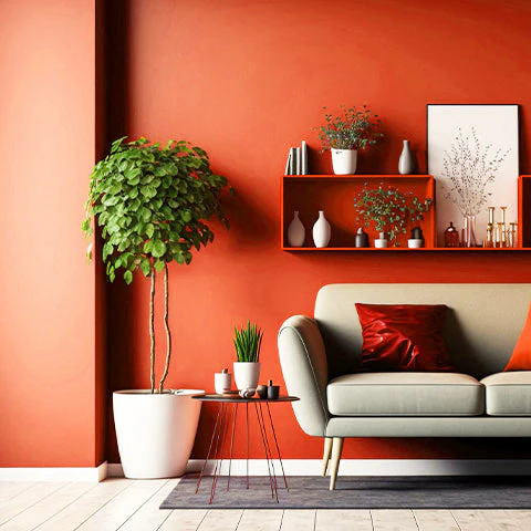 Housewares & Kitchen