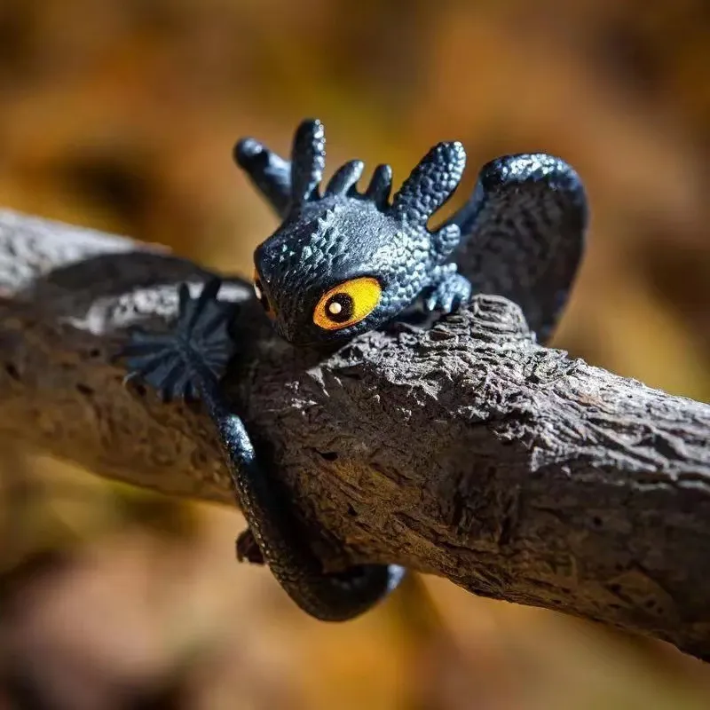 Wie Sie Ihren Drachen Zählos Drachen Aberdeen Ring trainieren