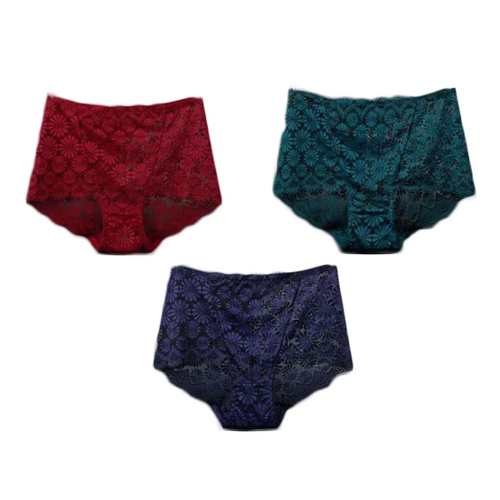 3 Stück Spitze Sexy Bikini Unterwäsche Daisy Mesh Unterwäsche Plus Size Boyshorts Unterwäsche für Frauen Pack, Green Wine Rot Blau