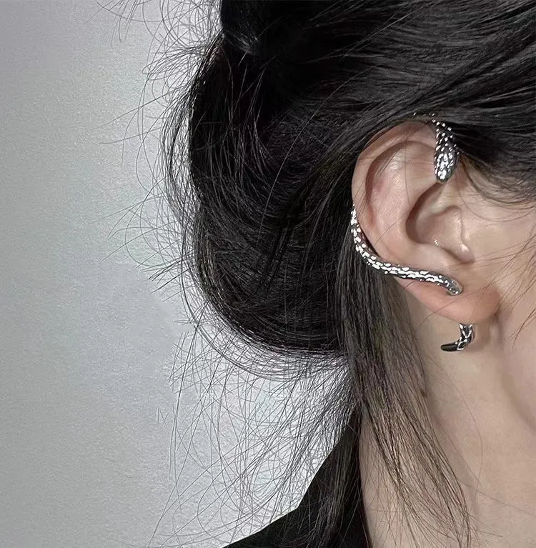 Wind Winding Ear-Hook Snake-Shaped Ohrringe Paar Design
