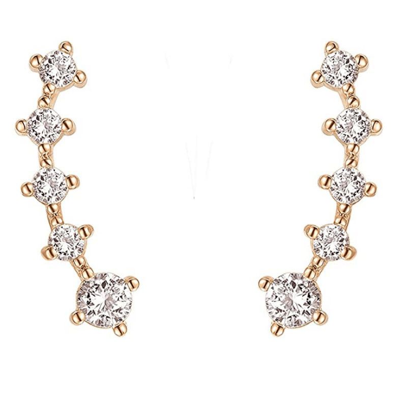 Bohemian S925 Diamant Ohrringe Weibliche Flügel