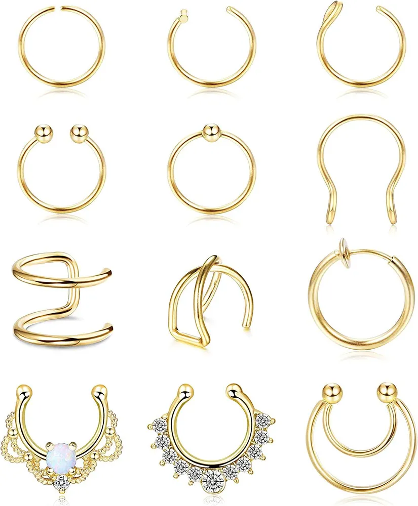12Pcs Falsche Nase Ringe Hoop Edelstahl Faux Septum Piercing Clip Auf Nase Septum Ring Faux Nicht-Pierced Nasen Ringe Ohrringe