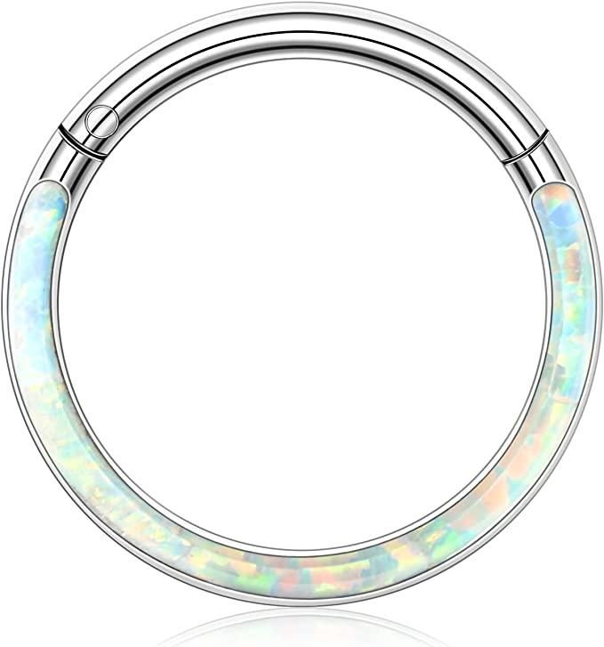 316L Edelstahl Nasenringe Septum Hoop Hinge Segment Ring Opal CZ 16G 18G Knorpel Ohrringe Hoop Septum Clicker Daith Helix Tragus Conch Rook Ohrringe Körper Piercing Schmuck