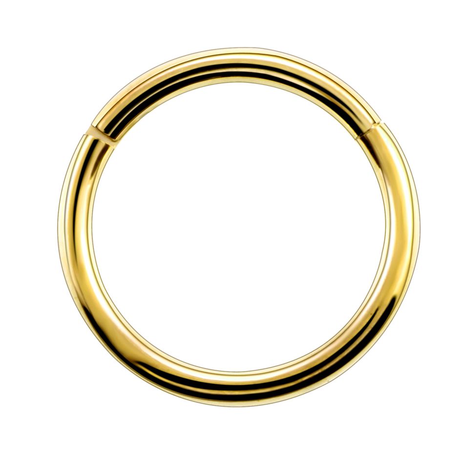 1PC Titan Segment Scharnier Ring Septum Nose Clicker Piercin