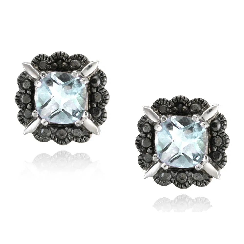 Sterling Silver Blue Topaz & Black Diamond Accent Stud Ohrringe