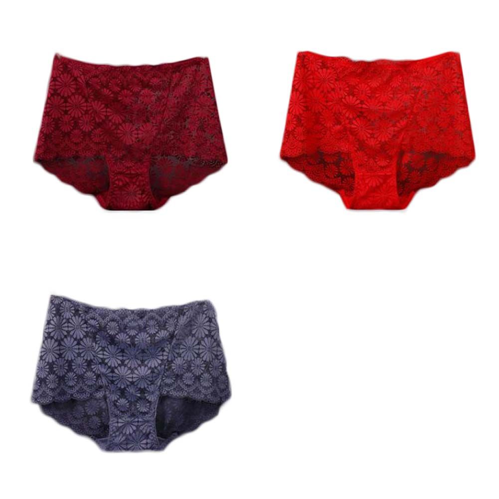 3 Stück Spitze Sexy Bikini Unterwäsche Daisy Mesh Unterwäsche Plus Size Boyshorts Unterwäsche für Frauen Pack, Rot Purple Grau Wein Rot