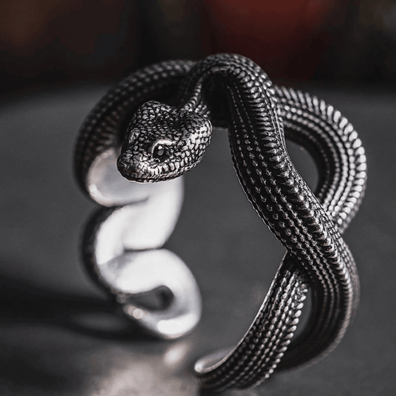 Vintage Punk-Stil Winding Snake Ring Schmuck für Männer