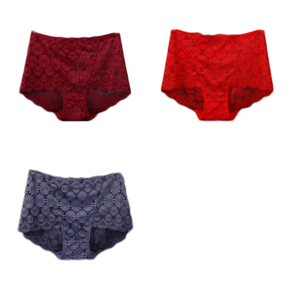 3 Stück Spitze Sexy Bikini Unterwäsche Daisy Mesh Unterwäsche Plus Size Boyshorts Unterwäsche für Frauen Pack, Rot Purple Grau Wein Rot