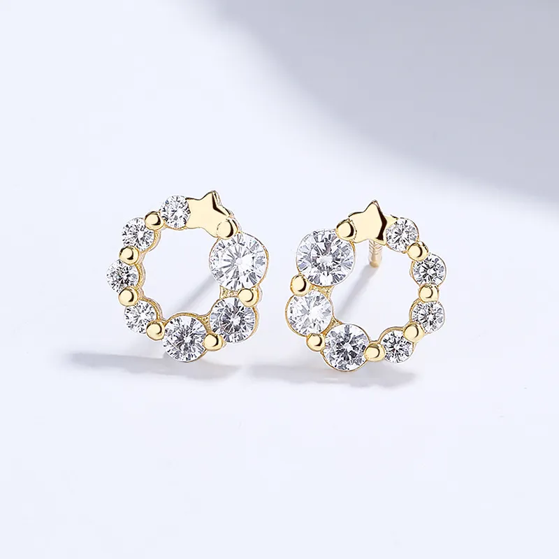 Frauen Mode Persönlichkeit Sterling Silber Round Zircon Stud Ohrringe