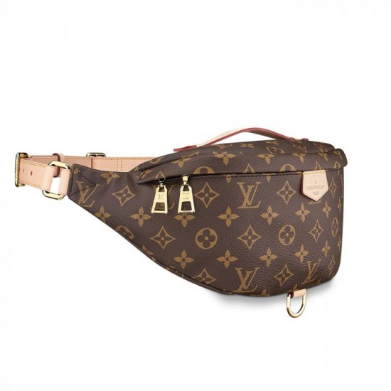 Louis Vuitton M43644 Bumbag