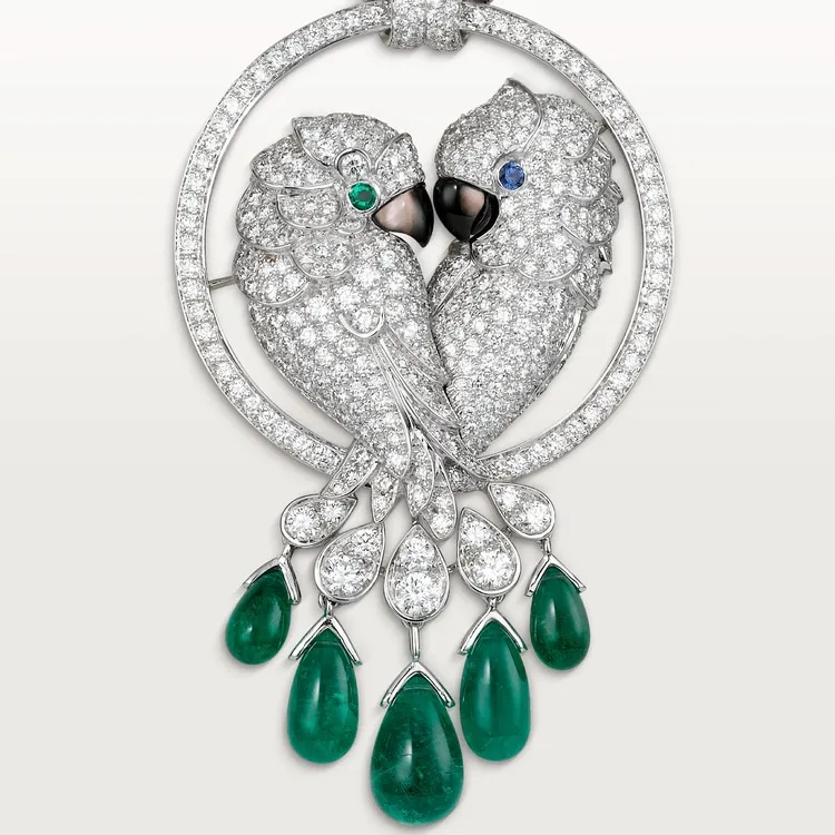 Cartier Fauna and Flora