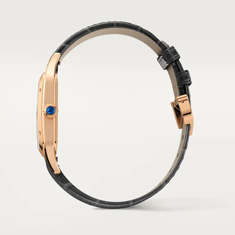 SANTOS-DUMONT RoseGoldMix 43.5mm