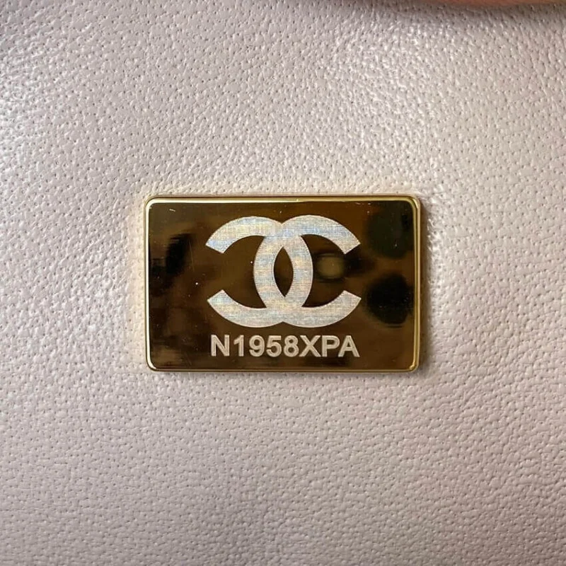 Chanel Mini Flap Bag With Top Handle As2431 In Iridescent Lambskin