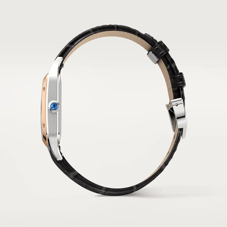 SANTOS-DUMONT Rose Gold MIx 43.5mm