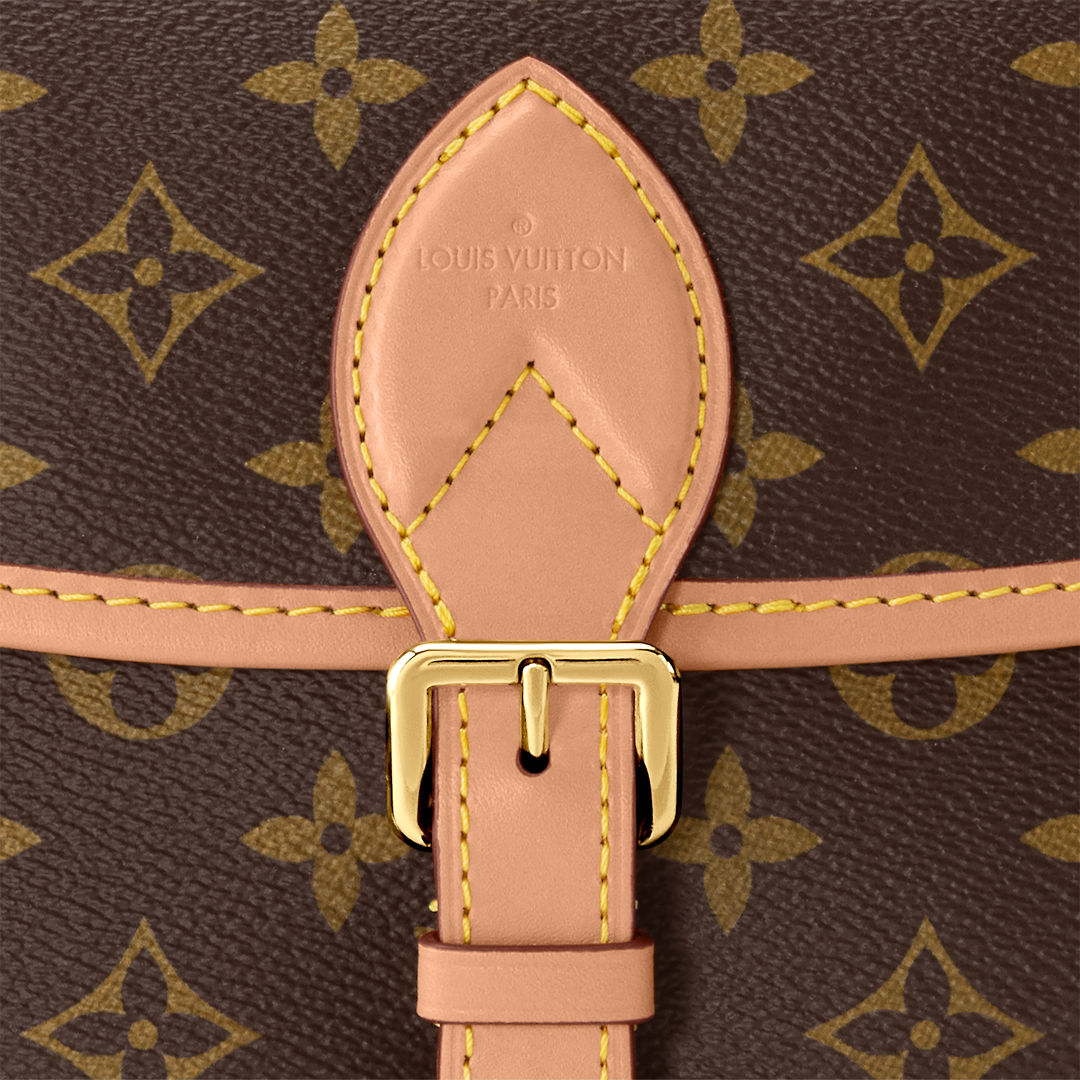 Louis vuitton Diane