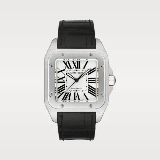 SANTOS 100 Silver Gray 38mm