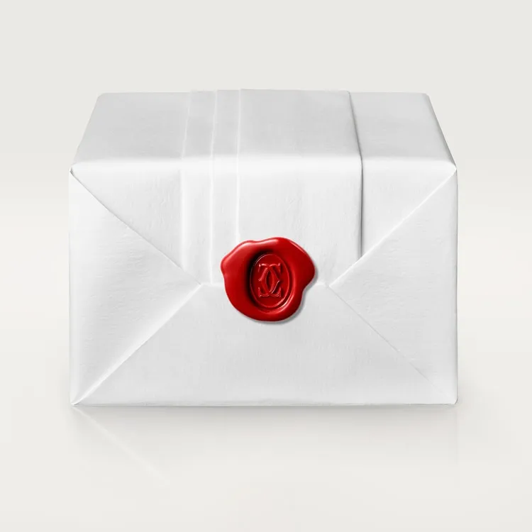 JUSTE UN CLOU NECKLACE