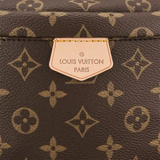 Louis Vuitton M43644 Bumbag