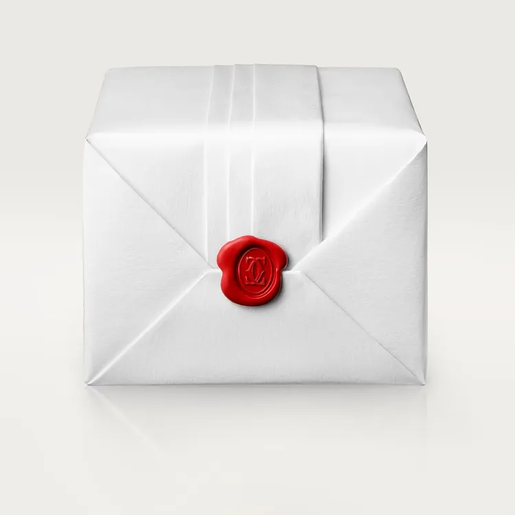 PANTHÈRE MEDIUM MODEL 37mm