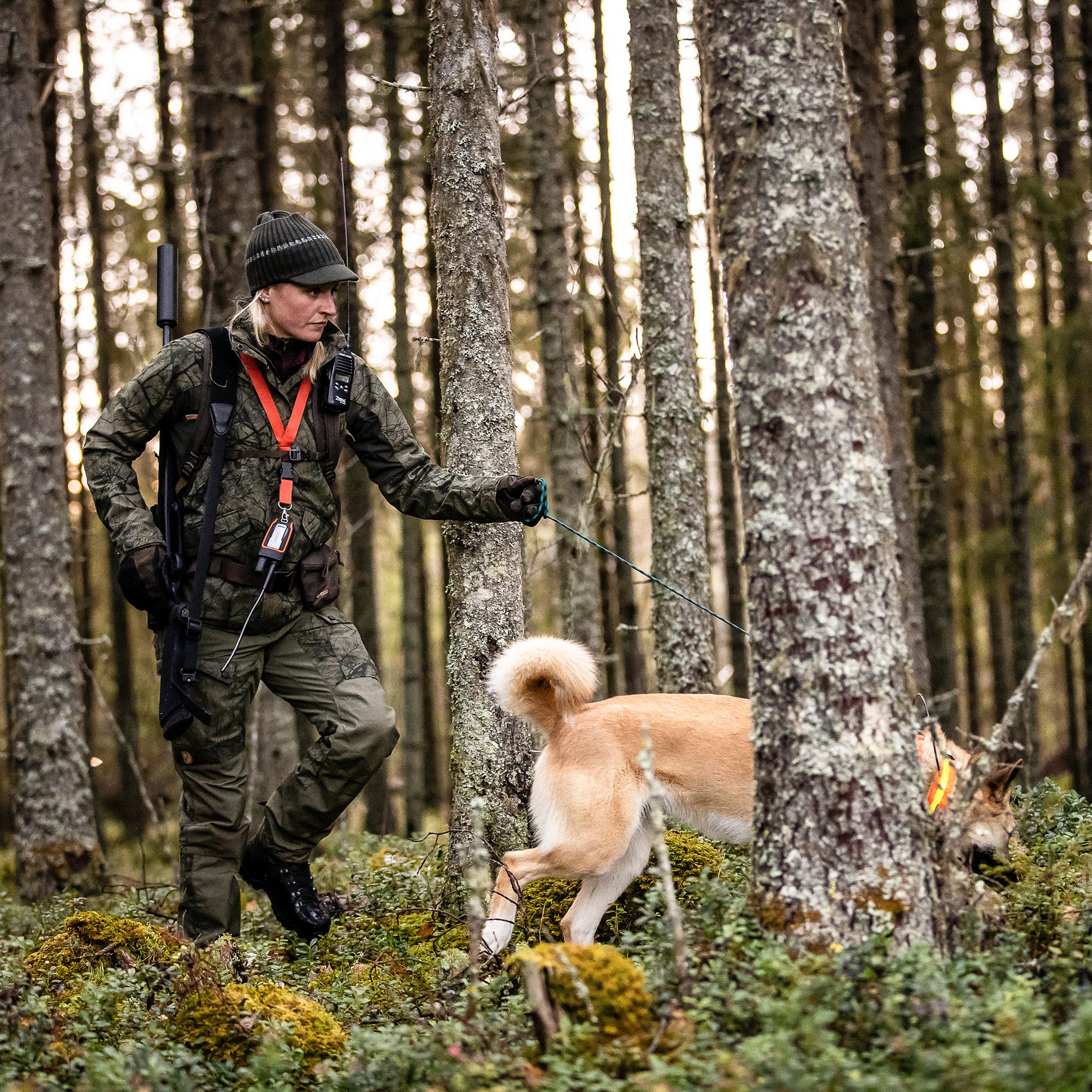 Lappland Hybrid Jacket W