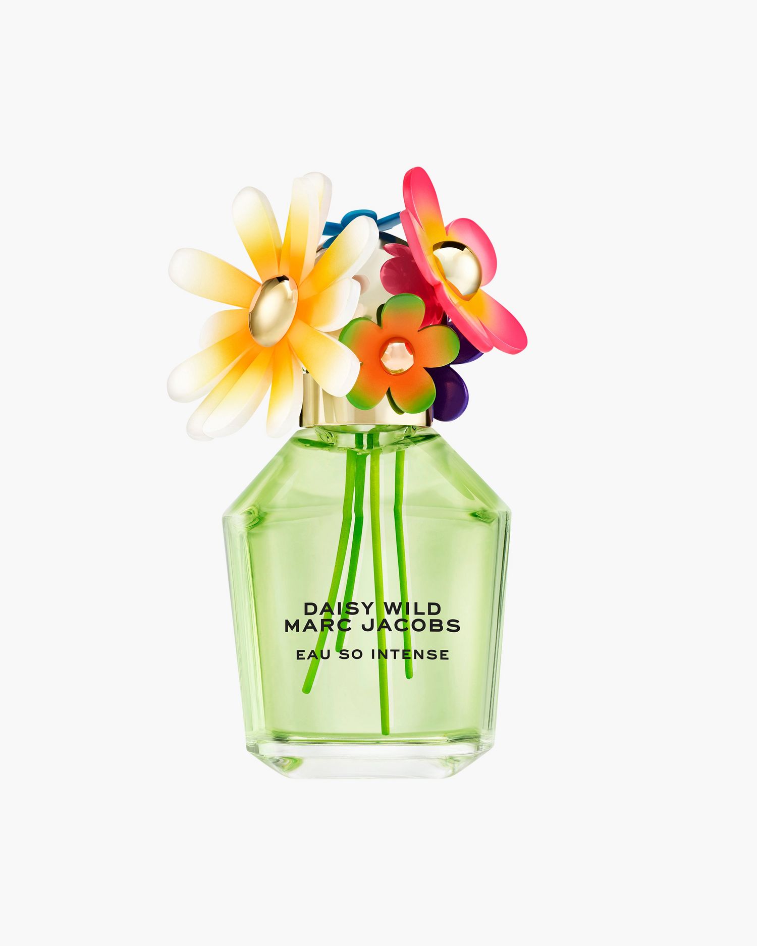 Daisy Wild Intense Eau De Parfum 100 mL | Marc Jacobs Outlet