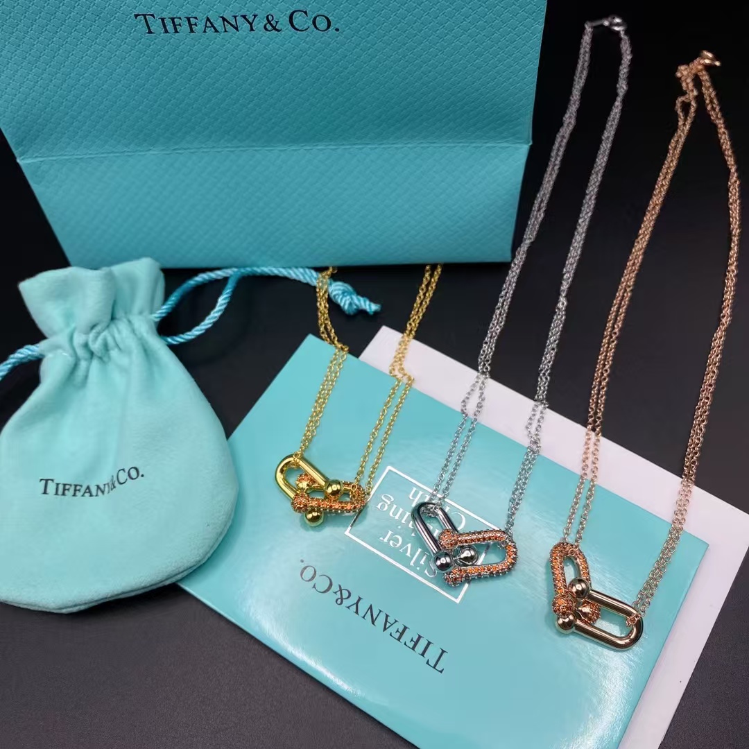 replica Tiffany Large Double Link Pendant Necklace - H Lin Jewelry