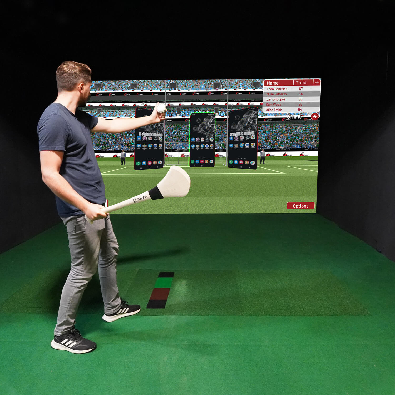 HD Professional Sports Simulator