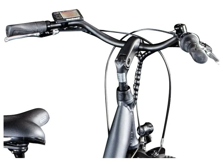 City E.Bike Green 3.7