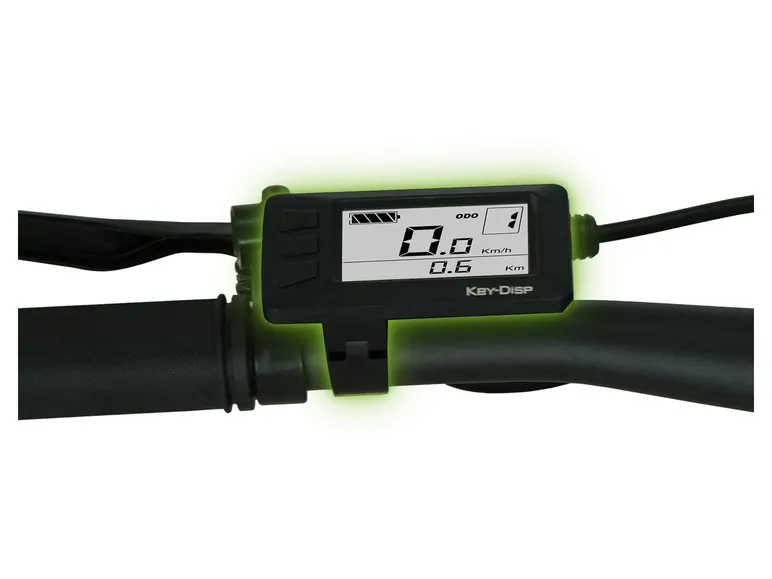 E-Bike Racing Mountainbike »R8 Flex III«, 27,5 Zoll