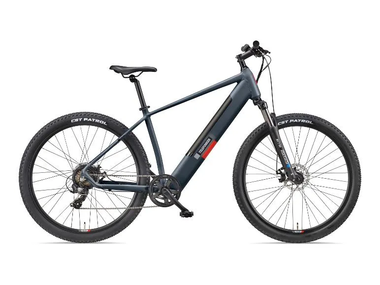 E-Bike Mountainbike »Aufsteiger M921« MTB, 29 Zoll