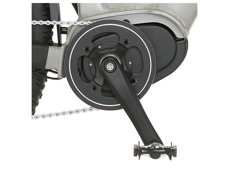 E-Bike ATB »Terra 4.0i«, 29 Zoll