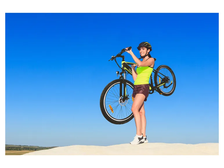 E-Bike Racing Mountainbike »R8 Flex III«, 27,5 Zoll