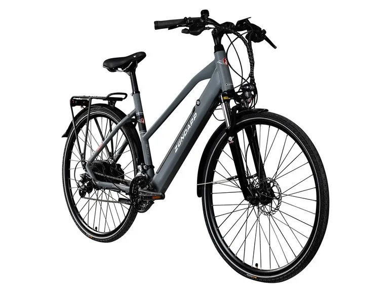 E-Bike Trekking »Z810 700c«, 28 Zoll