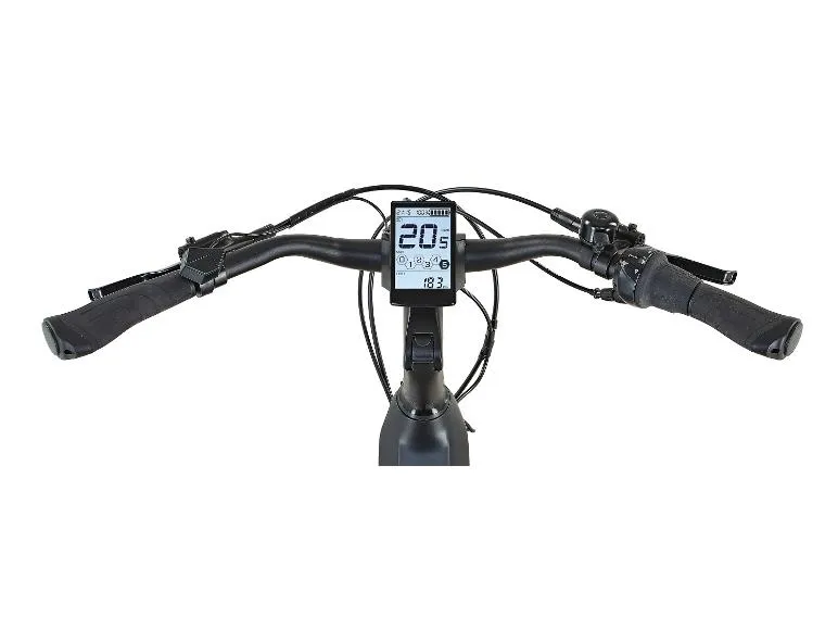 E-Bike Citybike »Geniesser 4.0«, 28 Zoll