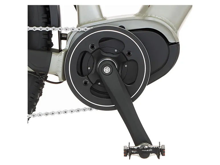 E-Bike ATB »Terra 4.0i«, 29 Zoll