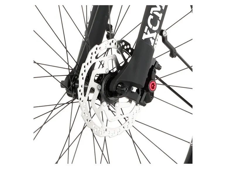 E-Bike Cityrad »Cita 8.0i«, 28 Zoll