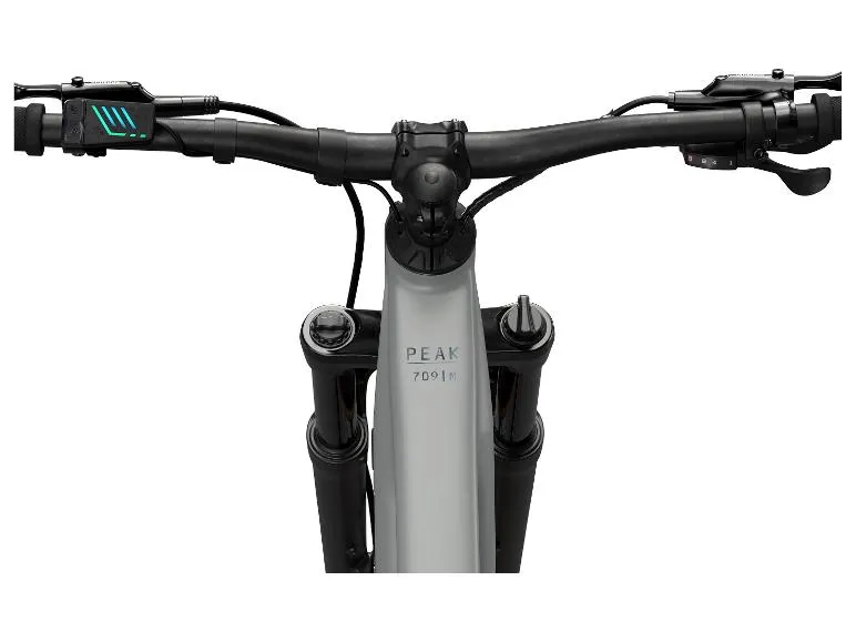 E-Bike Mountainbike »PEAK 709« Shimano CUES, 27,5, 29 Zoll