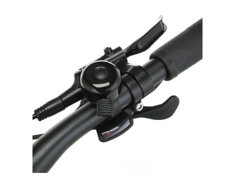 E-Bike ATB »Terra 4.0i«, 29 Zoll