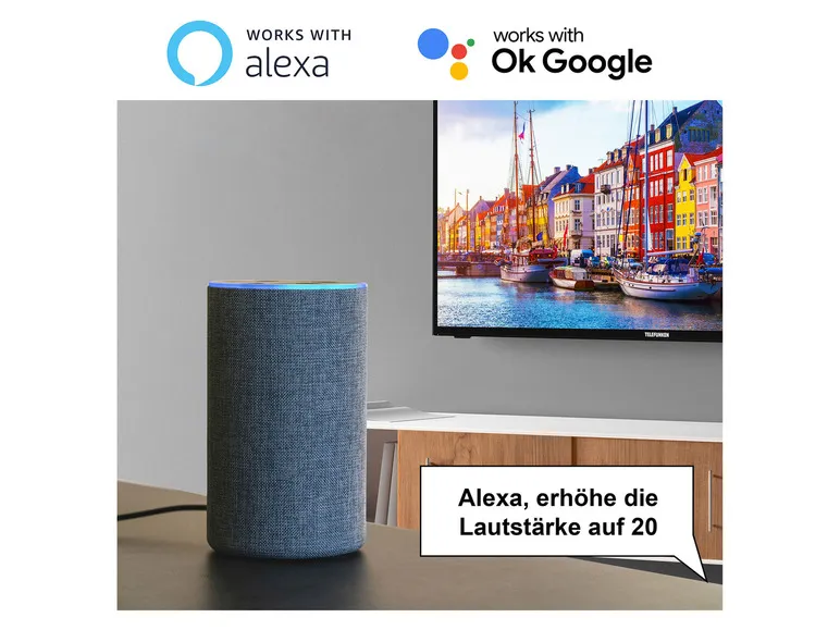 Fernseher »XH24SN550MVD« HD ready Smart TV