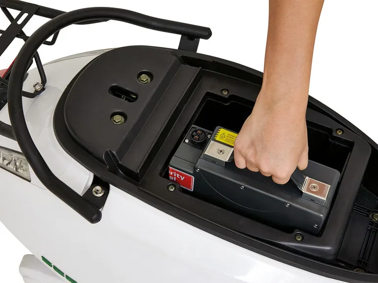 GreenStreet Elektro-Roller »SEED«, mit Lithium-Ionen-Akku, Eco-Modus, 50 km Reichweite