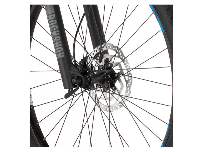 E-Bike Mountainbike MONTIS 6.0i 46/51, MTB, 29 Zoll Modell 2022