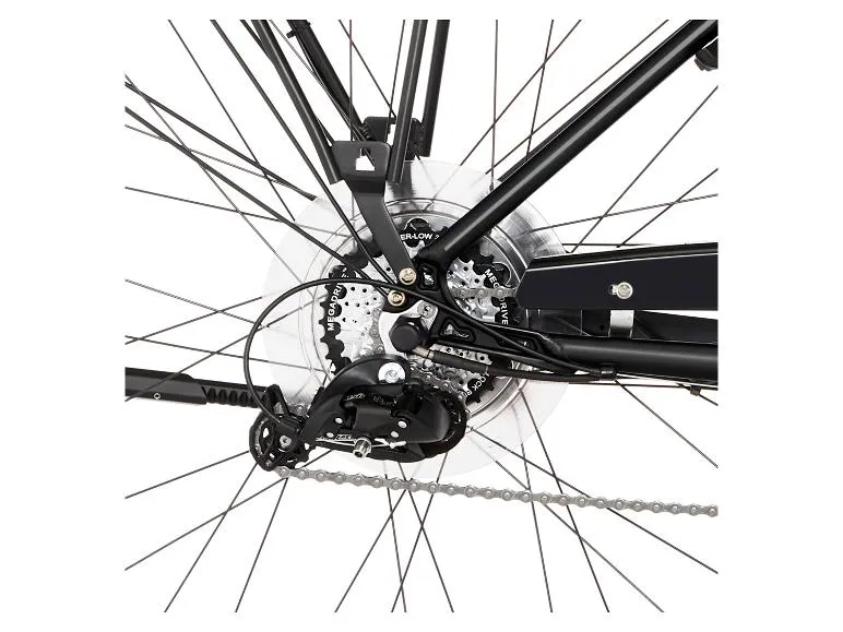 E-Bike Trekking ETH/ETD 2206, Modell 2022, 28 Zoll