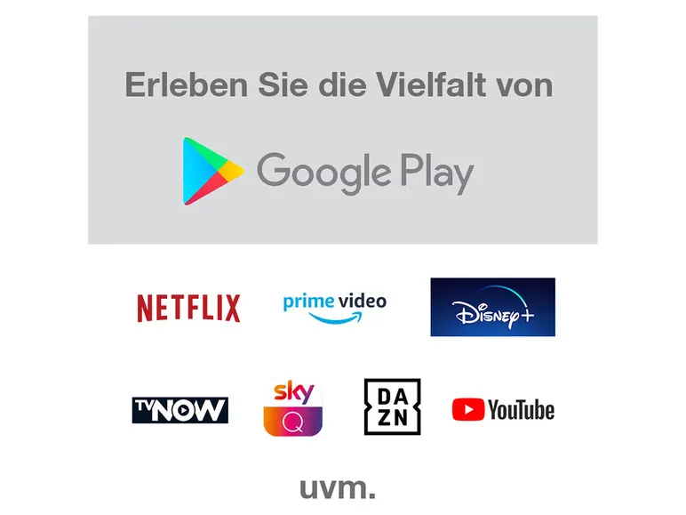 Fernseher »XH24AN550MV« 24 Zoll Android Smart TV
