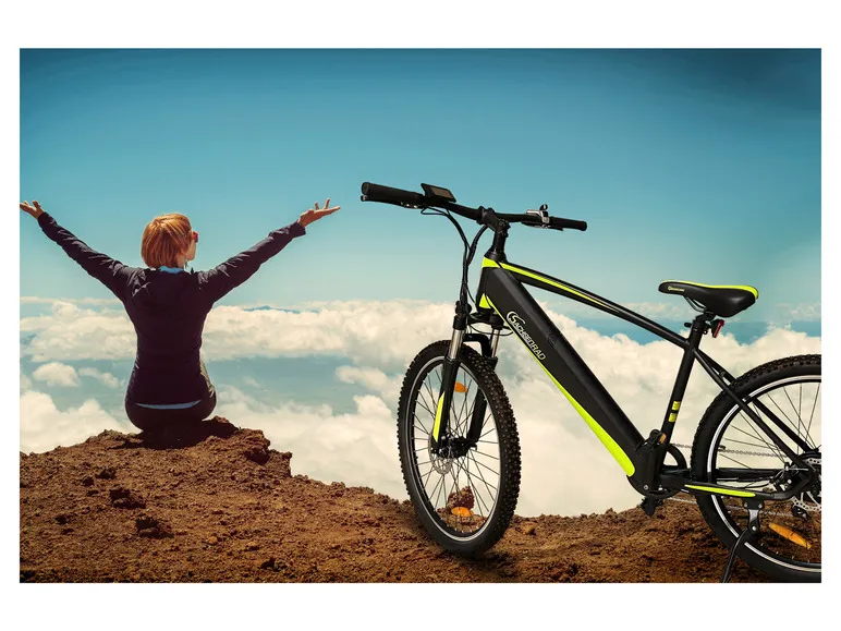 E-Bike Racing Mountainbike »R8 Flex III«, 27,5 Zoll