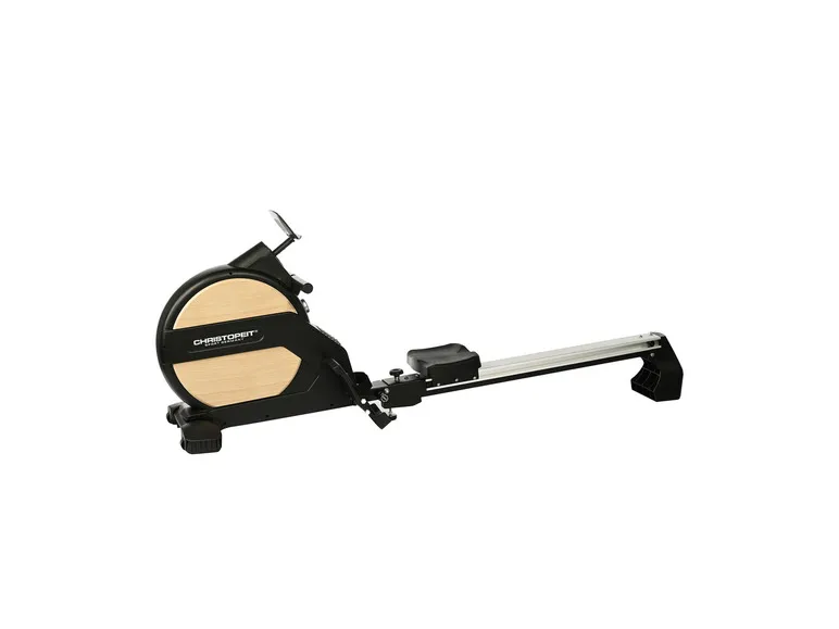 Ruder Ergometer Vico