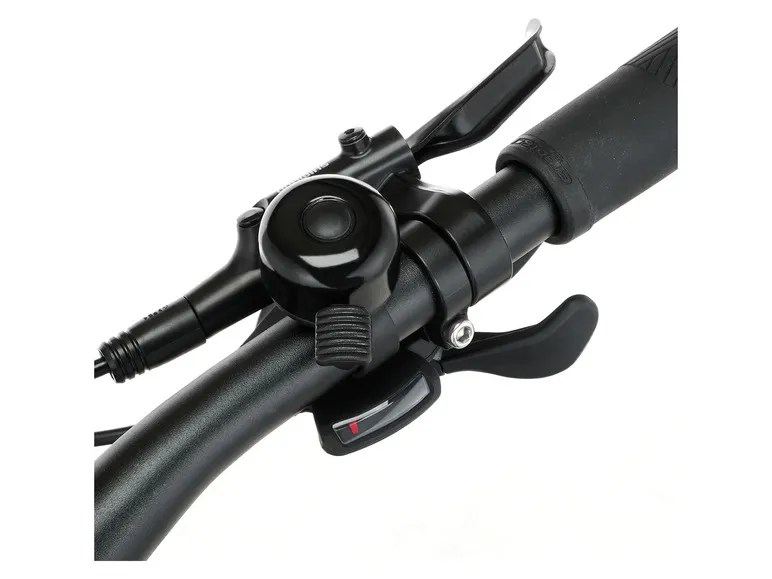 E-Bike ATB »Terra 4.0i«, 29 Zoll