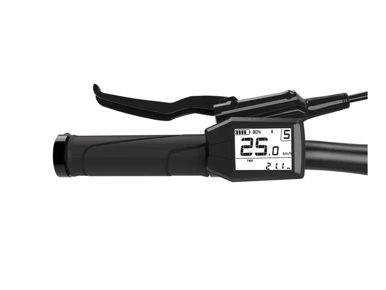 E-Bike Trekking SUV, 29 Zoll