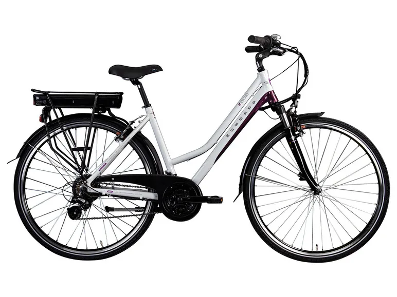 E-Bike Trekkingrad »Z802 700c«, 28 Zoll