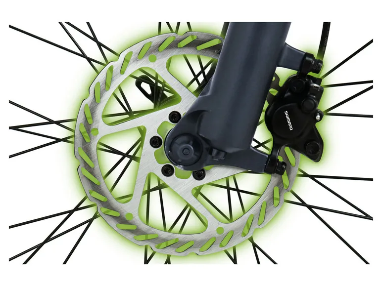 E-Bike Racing Mountainbike »R8 Flex III«, 27,5 Zoll